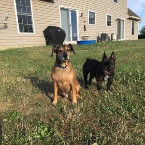 Meet your Posher, Candace